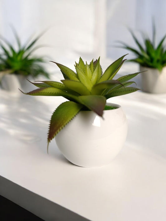 Artificial succulents plant