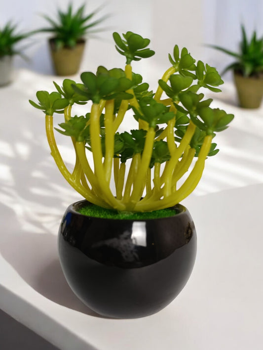 Green flower plant