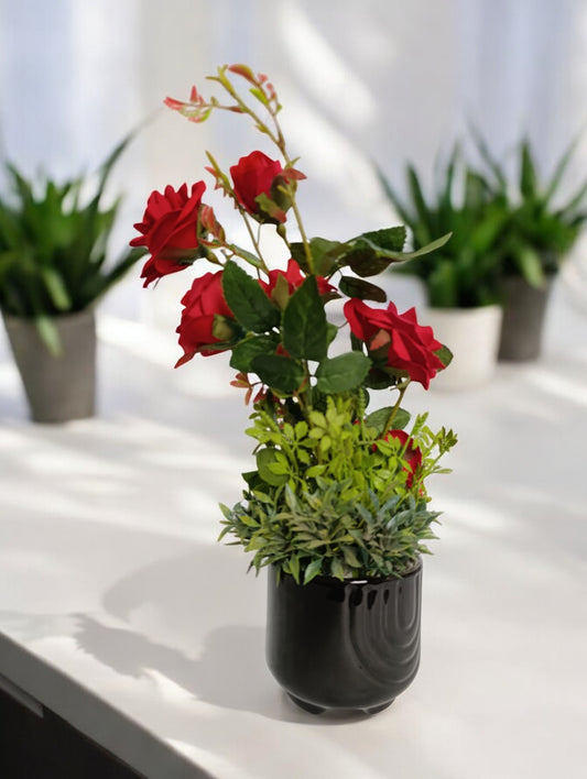 Red rose vase